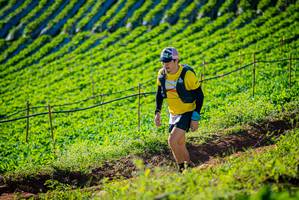 BIB: 
                            <button type="button" onclick="openModal(19160389)" class="btn btn-primary btn-sm float-right btn-popup" data-toggle="modal" data-target=".modal-high-quality">
                        <i class="fas fa-shopping-cart"></i> Add to Cart
                    </button>
                                            <button type="button" onclick="isThisMe(19160389, true)" class="btn btn-success btn-sm float-right btn-popup btn-isme hidden" data-toggle="tooltip" data-placement="bottom" title="นี่คือรูปของคุณใช่ไหม คลิกที่นี่เพื่อเอาเข้าอัลบั้ม">
                        <i class="fas fa-plus"></i> Add to album
                    </button>
                    <button type="button" onclick="isThisMe(19160389, false)" class="btn btn-warning btn-sm float-right btn-popup btn-isnotme hidden">
                        <i class="fas fa-ban"></i> Remove from album
                    </button>